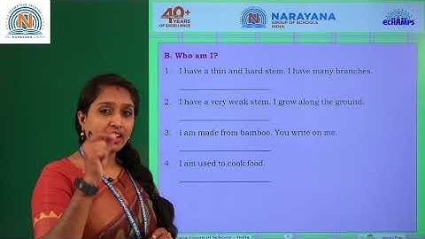 7TH OCT NORTH CLASS II EVS AMAZING ASSIGNMENT KEY