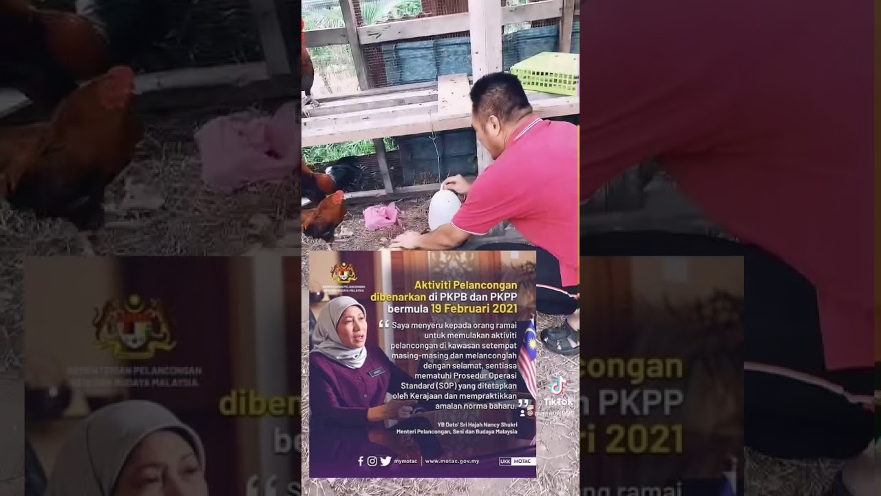 Hakak Dah Melancong Tau Korang Bila Lgi Youtube