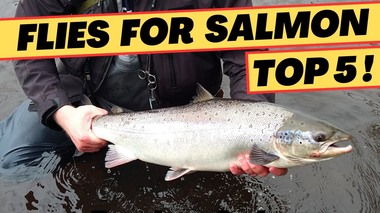 Top 5 Flies For Salmon Fishing And Why! - YouTube