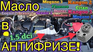 картинка: 1.5 dci МАСЛО В АНТИФРИЗЕ! Кенго 2. Кенго 3. Ситан. Меган 3. Сценик 3. 1.5 dci OIL IN ANTIFREEZE...