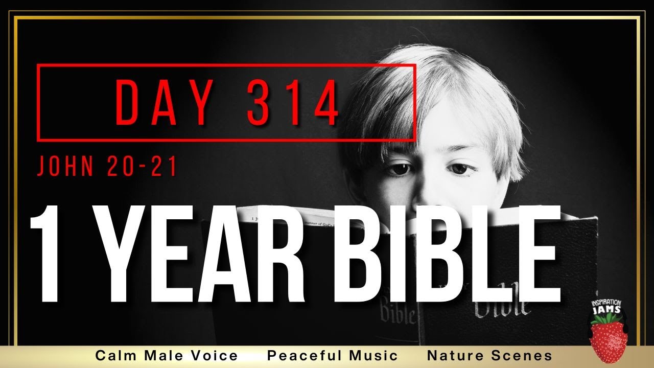Day 314 | John Chapters 20-21 | NIV | One Year Bible - YouTube