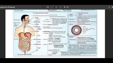 AP DSC (SA BIOLOGICAL SCIENCES )MADE FOR EASY THROUGH HD MAPS