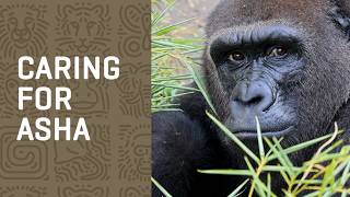 Caring for Asha