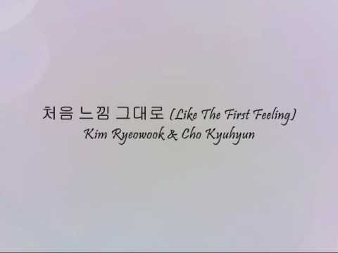 Kim Ryeowook Cho Kyuhyun 처음 느낌 그대로 Like The First Feeling Han Eng