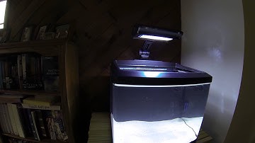 Biocube HQI Initial Setup Part 1