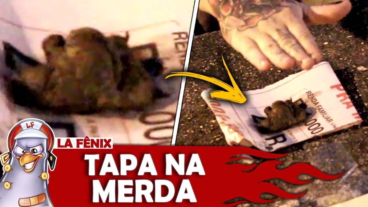 TAPA SURPRESA NA BOSTA DE CACHORRO humor or humour