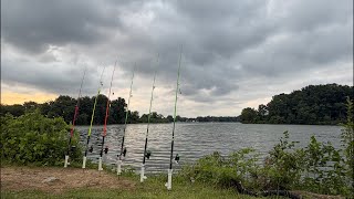 Catfishing the Breeze 🎣🦈 | LIVE NOW | 🔴