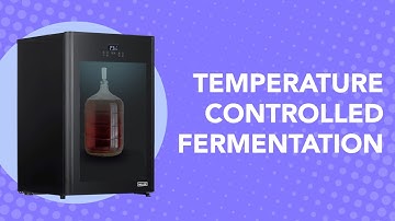 Temperature Controlled Fermentation: The Basics  - featuring the NewAir Froster