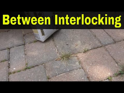 Grass Growing Between Interlocking Stones-How To Get Rid Of It