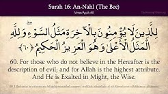 Quran: 16. Surat An-Nahl (The Bee): Arabic and English translation HD - Durasi: 1:07:29. Quran: 16. Surat An-Nahl (The Bee): Arabic and English translation HD - Durasi: 1:07:29.
