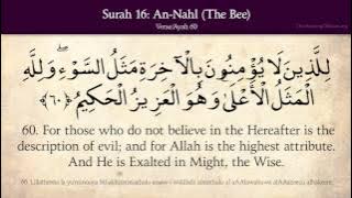 Quran: 16. Surat An-Nahl (The Bee): Arabic and English translation HD