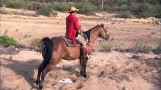 Braxton Family Values - Desert Divas: Sister Dish