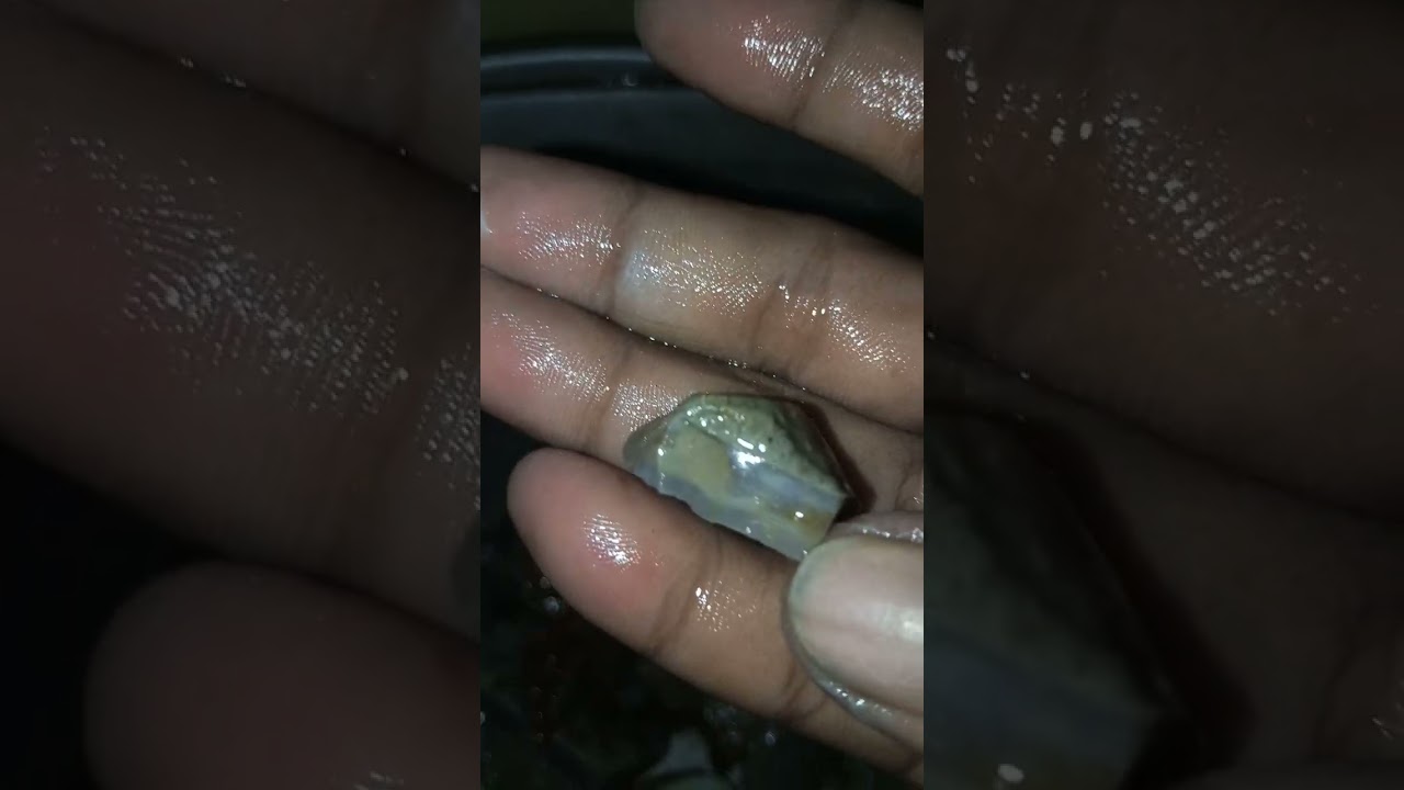 Natural☑️kalimaya Banten (100rb/2kg) WA: 0897-8633-828