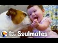 Adorable Kids and Dogs Growing Up Together | The Dodo Soulmates