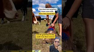 Cow &amp; Good Man #cow #animals #viralshorts