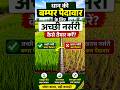 90% किसान करते हैं ये गलती ❌ | धान की नर्सरी सही तरीके से तैयार करे 🌾💯