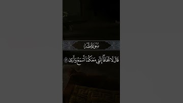 #quran #رعد_الكردي #quran #قرآن #اكسبلور #qurantilawat #تلاوة_خاشعة #قران_كريم #ياسر_الدوسري #قرآن