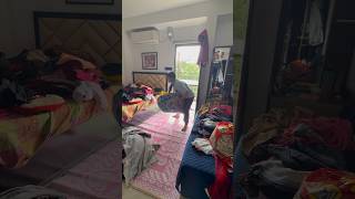 Aj tha bohat sara kaam #juhiandsunil #minivlog #dailyvlog #parentingvlog