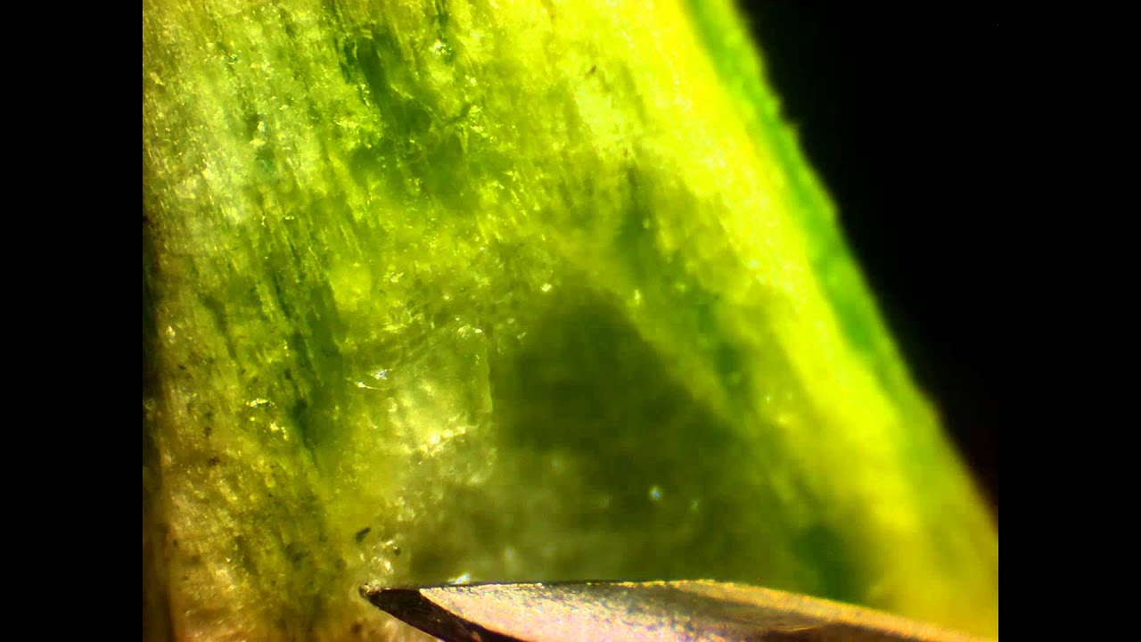 Time-Lapse Microscope Cannabis HD HDR - Water Feeding - Stem cut open syring pumping 1drop/5mins