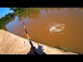 This Fish is a MONSTER - Houston Urban Fishing
