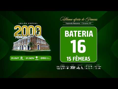 BATERIA 16