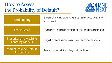 Credit Risk Modelling: The Probability of Default