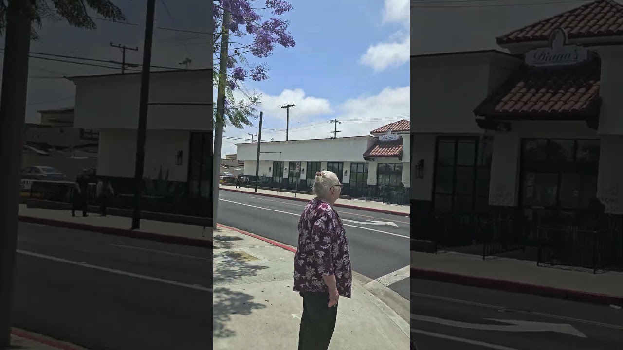 Carson, CA Diana's Mexican Restaurant.  good food! # Carson 