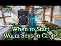 MAXIMIZE Harvests with These Tips About WHAT, WHEN & HOW to Plant Summer Crops