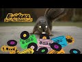 Squirrel Tape Instrumentals Vol. 1 (Album Stream)