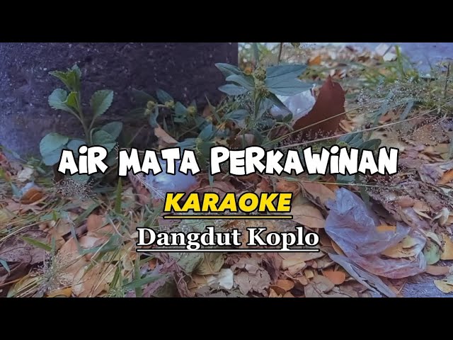 Air Mata Perkawinan - Karaoke DutPlo New Pallapa (mansyur. s) class=