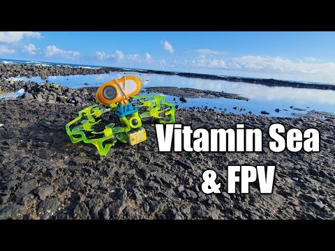Flywoo Firefly Hex Nano Insta360 Go 2 FPV Flight | Life's a Beach