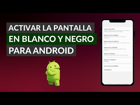 Cómo Activar la Pantalla en Blanco y Negro en Cualquier Android