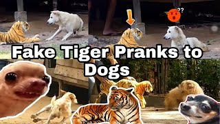 FAKE TIGER PRANK DOGS | FUNNY VIDEOS | PART 1