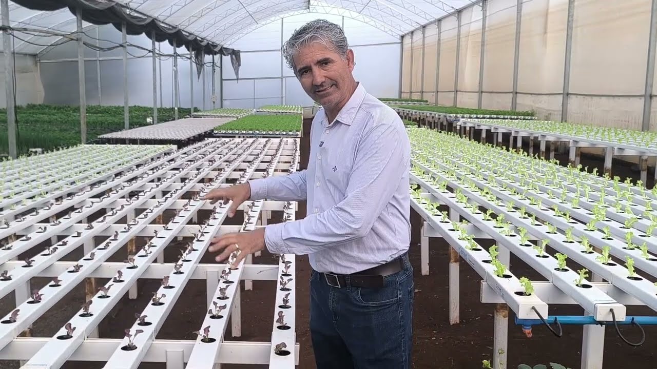 QUAL È O ESPAÇO MINIMO PARA VIVER DE HIDROPONIA