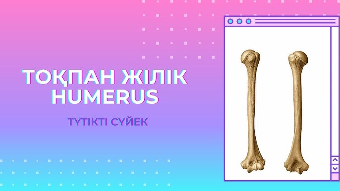 табиғатта жалаңаш әйелдер, арқа