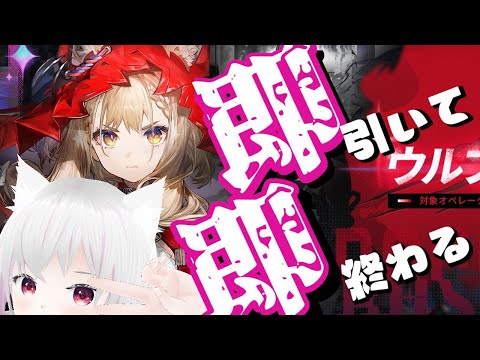 【エンドフィールド】ロッシと武器即引いて即終わる配信【ガチャ】