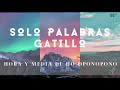 MEDITACIÓN solo PALABRAS GATILLO🎧  HO´OPONOPONO 1 hora y media de PRACTICA DIARIA