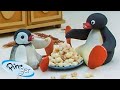 Pingu at home   pingu  official channel  cartoons for kids