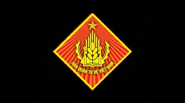 LỰC LƯỢNG DÂN QUÂN TỰ VỆ || QUÂN ĐỘI NHÂN DÂN VIỆT NAM