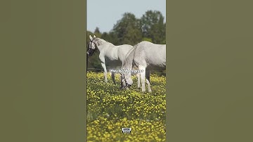 Day 20. Small steps create big change. #motivation #mindset #shorts