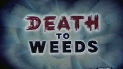 This Is Prelinger Archives (2001)