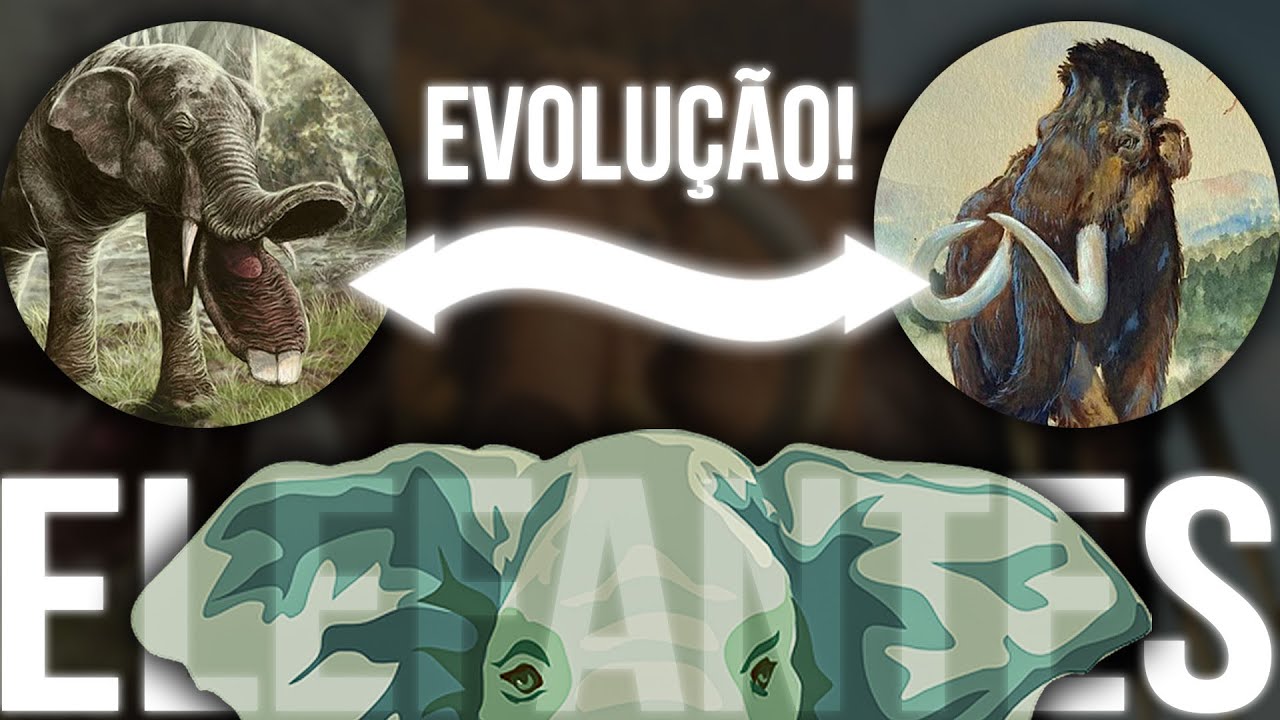 A Evolução dos Elefantes, ERA ASSIM que eles eram no PASSADO!