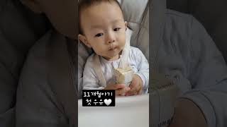 11개월아기의 처음마시는 우유🤍/우유발사🤭