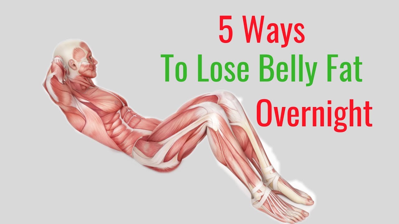 How Can I Lose My Belly Fat Overnight?