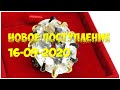 Новое поступление 16-09-2020