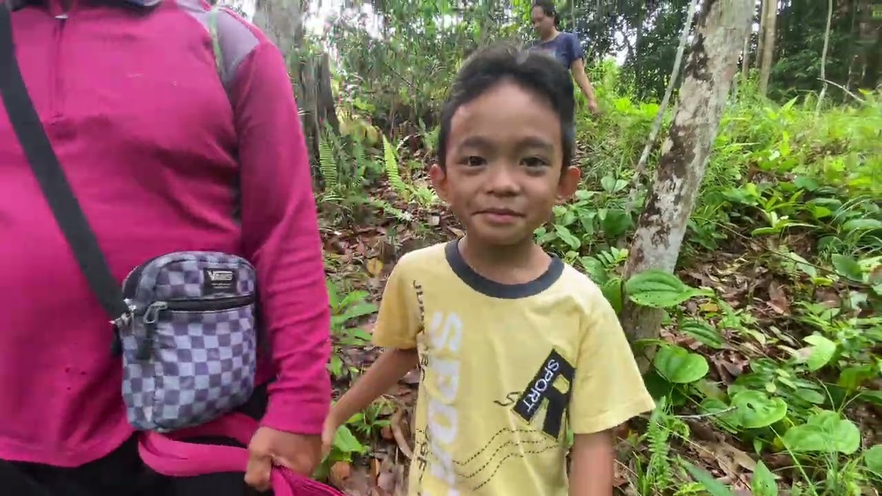 Ke kebun ngambi daun ensabi iban