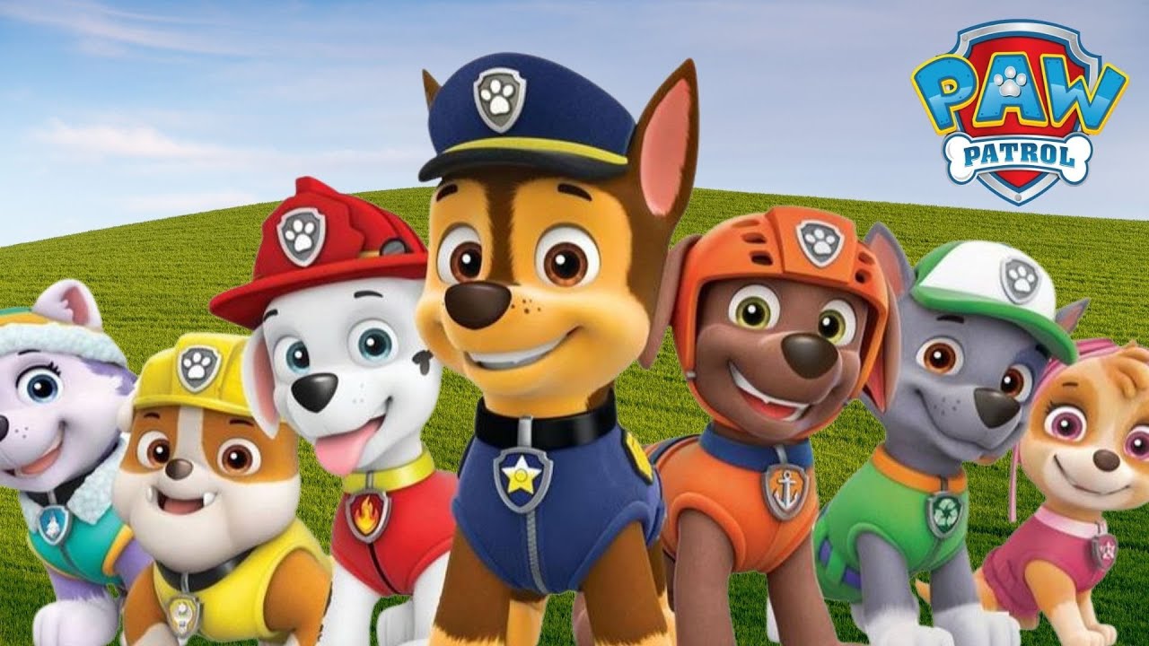 Paw Patrol Cartoon Full episode in Hindi YouTube