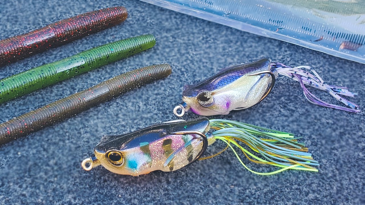 Piscifun - The Senko is a very effective bait for bass! What is