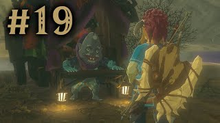 #19: A Shady Customer - Breath of the Wild 100% Walkthrough (NS2)