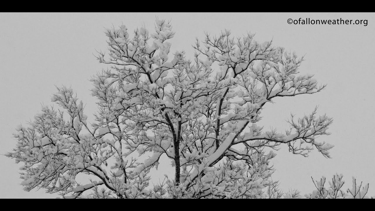 11/30 First Snow of the Season, St. Louis Region